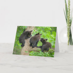 最も可愛い赤ん坊の動物 3つの黒いクマの子牛 カード