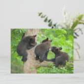 最も可愛い赤ん坊の動物 | 3つの黒いクマの子牛 サンキューカード (スタンド正面)