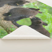 最も可愛い赤ん坊の動物 | 3つの黒いクマの子牛 シェルパブランケット (3/4)