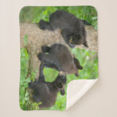 最も可愛い赤ん坊の動物 | 3つの黒いクマの子牛 シェルパブランケット (正面)