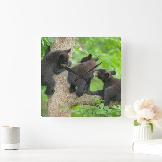 最も可愛い赤ん坊の動物 | 3つの黒いクマの子牛 スクエア壁時計 (ホーム)