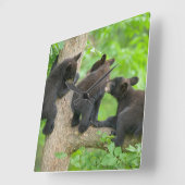 最も可愛い赤ん坊の動物 | 3つの黒いクマの子牛 スクエア壁時計 (傾斜)