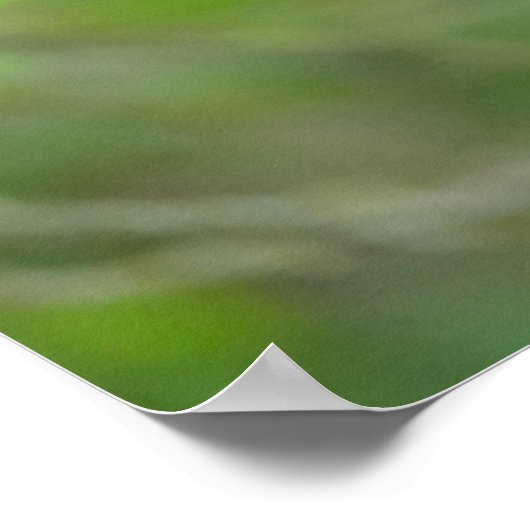 最も可愛い赤ん坊の動物 | 3つの黒いクマの子牛 ポスター (角)