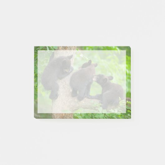 最も可愛い赤ん坊の動物 | 3つの黒いクマの子牛 ポストイット (正面)