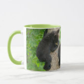 最も可愛い赤ん坊の動物 | 3つの黒いクマの子牛 マグカップ (左)