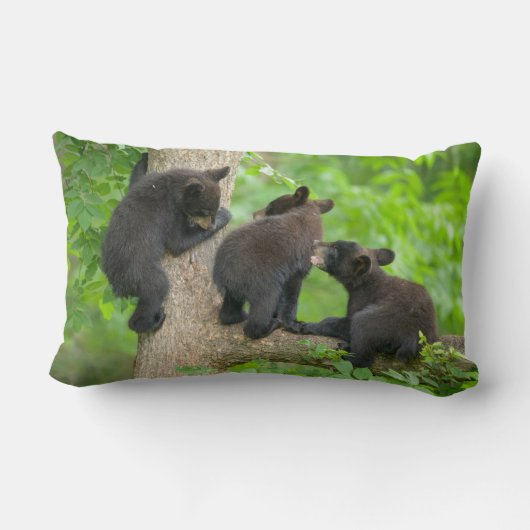 最も可愛い赤ん坊の動物 | 3つの黒いクマの子牛 ランバークッション (裏面)