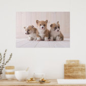 最も可愛い赤ん坊の動物 | 3ベビー ポスター (キッチン)