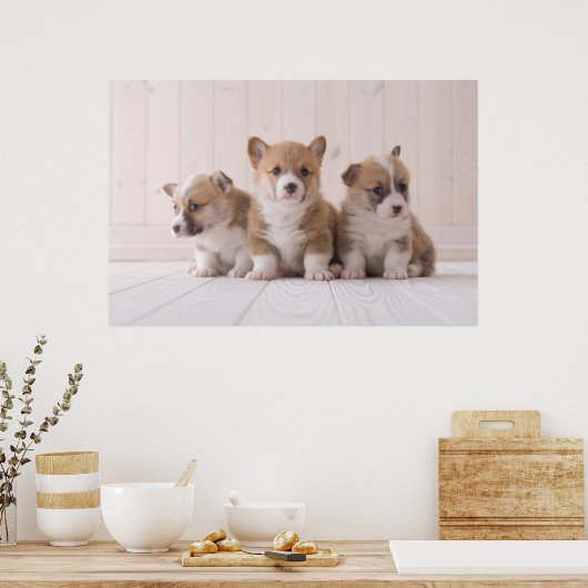 最も可愛い赤ん坊の動物 | 3ベビー ポスター (キッチン)