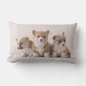 最も可愛い赤ん坊の動物 | 3ベビー ランバークッション (正面)