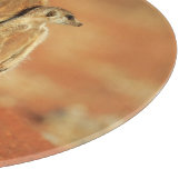 最も可愛い赤ん坊の動物 | 3メルカット カッティングボード (角)