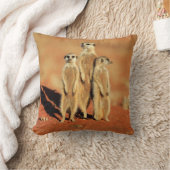 最も可愛い赤ん坊の動物 | 3メルカット クッション (ブランケット)