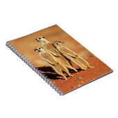 最も可愛い赤ん坊の動物 | 3メルカット ノートブック (右側)