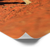 最も可愛い赤ん坊の動物 | 3メルカット ポスター (角)