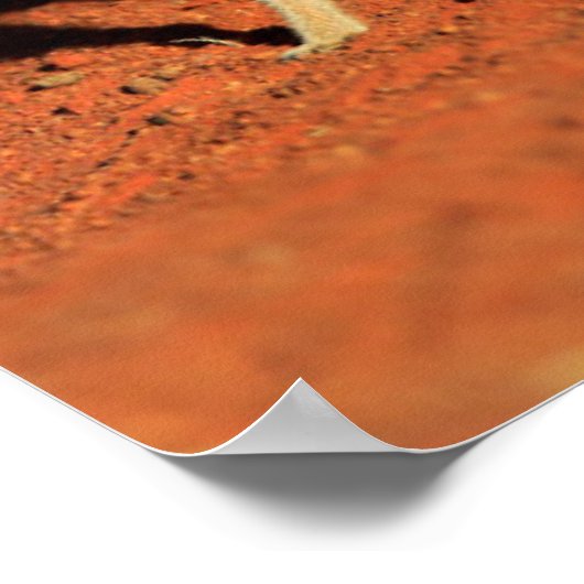 最も可愛い赤ん坊の動物 | 3メルカット ポスター (角)