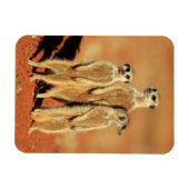 最も可愛い赤ん坊の動物 | 3メルカット マグネット (横)