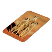 最も可愛い赤ん坊の動物 | 3メルカット マグネット (左側)