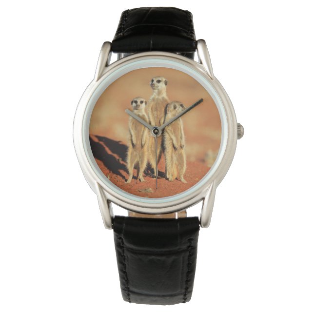 最も可愛い赤ん坊の動物 | 3メルカット 腕時計 (正面)
