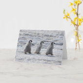 最も可愛い赤ん坊の動物 3台のエンペインギンの雛 カード (黄色い花)