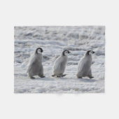 最も可愛い赤ん坊の動物 3台のエンペインギンの雛 フリースブランケット (正面(横))