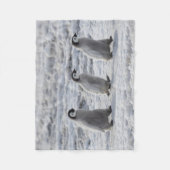 最も可愛い赤ん坊の動物 3台のエンペインギンの雛 フリースブランケット (正面)