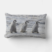 最も可愛い赤ん坊の動物 3台のエンペインギンの雛 ランバークッション (正面)