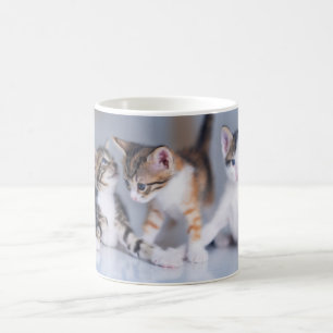 最も可愛い赤ん坊の動物 3虎猫 コーヒーマグカップ