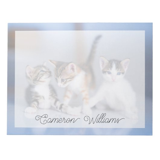 最も可愛い赤ん坊の動物 | 3虎猫 ノートパッド (正面)