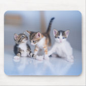 最も可愛い赤ん坊の動物 | 3虎猫 マウスパッド (正面)