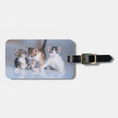 最も可愛い赤ん坊の動物 | 3虎猫 ラゲッジタグ (正面横)