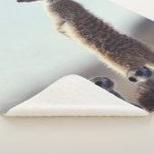 最も可愛い赤ん坊の動物 | A Family of Meerkats シェルパブランケット (3/4)