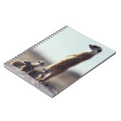 最も可愛い赤ん坊の動物 | A Family of Meerkats ノートブック (左側)