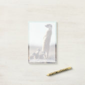 最も可愛い赤ん坊の動物 | A Family of Meerkats ポストイット (デスク上)