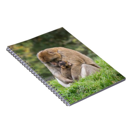 最も可愛い赤ん坊の動物 | Barbary Macaqueファミリー ノートブック (右側)