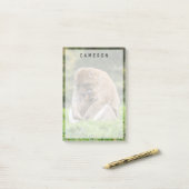 最も可愛い赤ん坊の動物 | Barbary Macaqueファミリー ポストイット (デスク上)