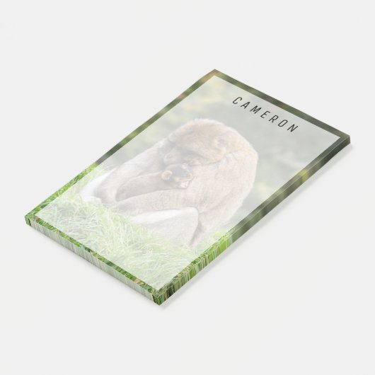 最も可愛い赤ん坊の動物 | Barbary Macaqueファミリー ポストイット (アングル)