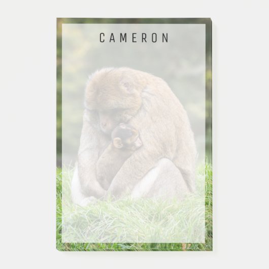 最も可愛い赤ん坊の動物 | Barbary Macaqueファミリー ポストイット (正面)