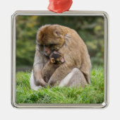 最も可愛い赤ん坊の動物 | Barbary Macaqueファミリー メタルオーナメント (正面)