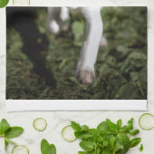 最も可愛い赤ん坊の動物 | Beagle Puppy キッチンタオル (折り畳み)