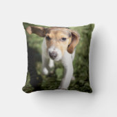 最も可愛い赤ん坊の動物 | Beagle Puppy クッション (正面)
