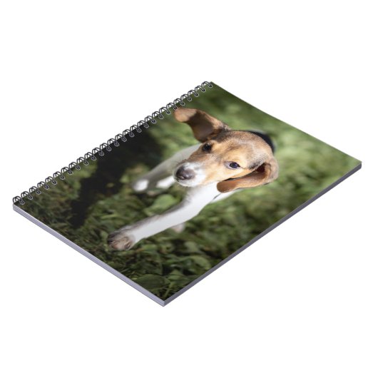 最も可愛い赤ん坊の動物 | Beagle Puppy ノートブック (左側)