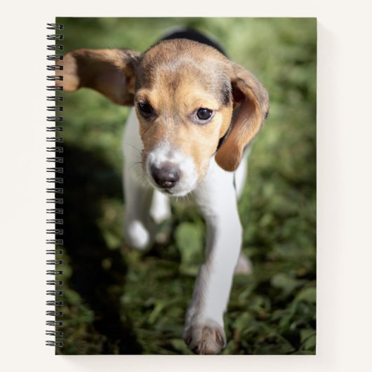 最も可愛い赤ん坊の動物 | Beagle Puppy ノートブック (正面)