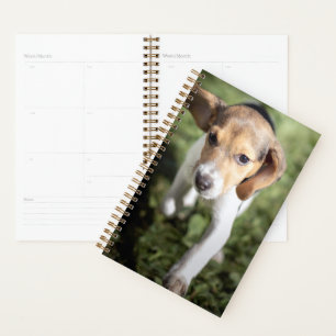 最も可愛い赤ん坊の動物 Beagle Puppy プランナー手帳
