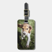 最も可愛い赤ん坊の動物 | Beagle Puppy ラゲッジタグ (正面縦)