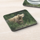 最も可愛い赤ん坊の動物 Bear Mama Bear & Her Cubs | Bear コースター (左側)