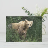 最も可愛い赤ん坊の動物 Bear Mama Bear & Her Cubs | Bear サンキューカード (スタンド正面)