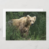 最も可愛い赤ん坊の動物 Bear Mama Bear & Her Cubs | Bear サンキューカード (正面/裏面)