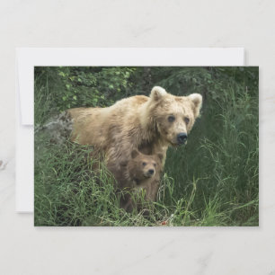 最も可愛い赤ん坊の動物 Bear Mama Bear & Her Cubs Bear サンキューカード