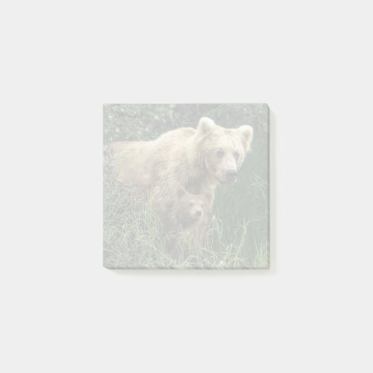 最も可愛い赤ん坊の動物 Bear Mama Bear & Her Cubs | Bear ポストイット (正面)
