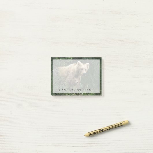 最も可愛い赤ん坊の動物 Bear Mama Bear & Her Cubs | Bear ポストイット (デスク上)