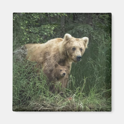 最も可愛い赤ん坊の動物 Bear Mama Bear & Her Cubs | Bear マグネット (正面)